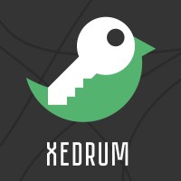 Xedrum logo - Similar company to Lnoks