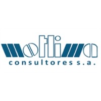 MOTLIMA CONSULTORES - OFICIAL logo - Similar company to Motlima Consultores
