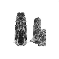 Ségolène Moteley  •  art logo - Similar company to Efyara