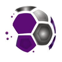 FNV Sports logo - Similar company to Torcedores.Com