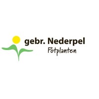 Gebr. Nederpel Potplanten logo - Similar company to Samada Flowers