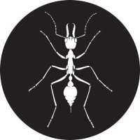 Australian Entomological Society logo - Similar company to Invertebrates Australia