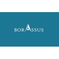 Borassus Infotech, Inc logo - Similar company to Evon Title Services