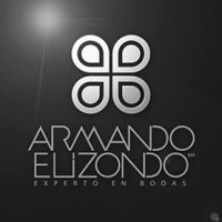 Grupo Armando Elizondo logo - Similar company to Aurelia Eventos
