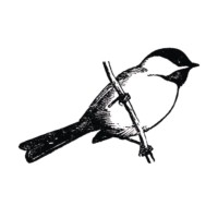 Blackbirds & Co 🐦⬛ logo - Similar company to Foothills Caring Corps