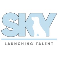Sky Services logo - Similar company to Hodes & Sutter, Inc.
