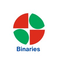 Binaries logo - Similar company to Banzan Studios