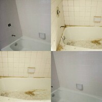 The Grout Expert Inc.