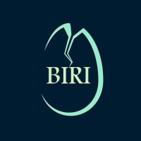 BIRI logo - Similar company to Biri Group Inc