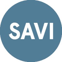 Pratt Institute Spatial Analysis And Visualization Initiative