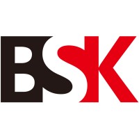 BSK Precision Technology Limited logo - Similar company to Wit Mold Limited