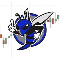 St. Thomas Aquinas Finance Club logo - Similar company to St. Thomas Aquinas Catholic Secondary School