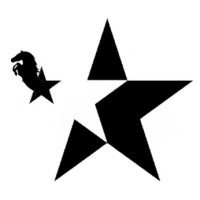 Star Chem logo - Similar company to Shree Krishna Impex