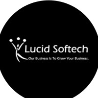 Lucid Softech IT Solutions logo - Similar company to Netzent Technologies