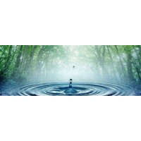 Vázquez Arias y Bioenergías logo - Similar company to Ecolagunas Depuración Sostenible