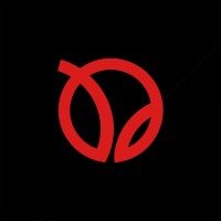 OptiWisdom logo - Similar company to Techbros