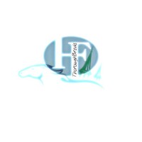 H&F Thoroughbreds