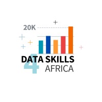 Data Skills 4 Africa logo - Similar company to Datahaus