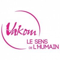 VAKOM Paris logo - Similar company to Experts Team