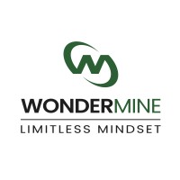 WonderMine Inc logo - Similar company to Advance Consolidation Experts (Ace)