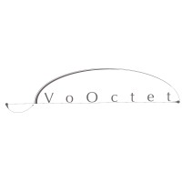 VoOctet logo - Similar company to Alumnaut