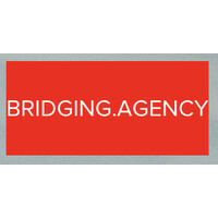Bridging.Agency logo - Similar company to Techneez