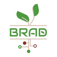 Brad Technology logo - Similar company to M2I Life Sciences
