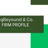 AgBeyond Ltd logo - Similar company to Serenity Power Ltd