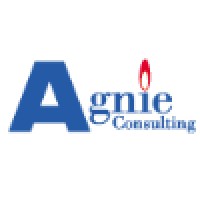 Agnie Consulting logo - Similar company to Genial Digitech Pvt Ltd