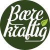 Bærekraftig AS logo - Similar company to Globale Bærum