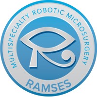 RAMSES logo - Similar company to Ramses Group