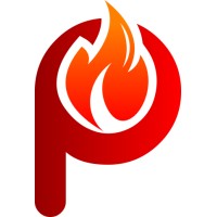 Pyro Netsis Mobil logo - Similar company to Workquest