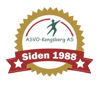 ASVO-Kongsberg AS logo - Similar company to Optipharma