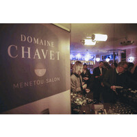 Domaines Chavet & de la Farge logo - Similar company to Chappal