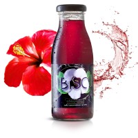 Jibiscus logo - Similar company to Vade