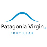 Inmobiliaria Patagonia Virgin logo - Similar company to Realizarme.Cl