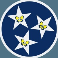 Walkin' In Memphis: Annual Down Syndrome Awareness Walk logo - Similar company to Walkin Software Technologies