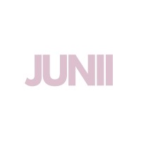 JUNII logo - Similar company to Pgtech Ab