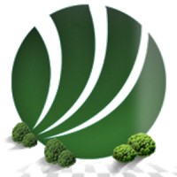 STI C&D logo - Similar company to Skysoft Technologies Global