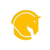 Chessdevil Consulting logo - Similar company to Bartalistic Consulting