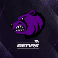 Cairo Bears logo - Similar company to Infokora