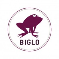 BIGLO logo - Similar company to Barengin