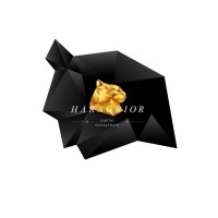 Haragrior Capital Management logo - Similar company to Ai Portfolio Solutions
