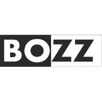 BOZZ.PL logo - Similar company to Foundation For Creating Shared Value