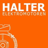 Theo Halter GmbH Elektromotoren logo - Similar company to Sapota Group