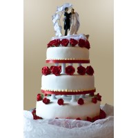 ChoclatoCakes logo - Similar company to Jacio Indicius - India