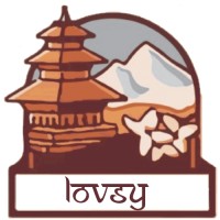 Lovsy logo - Similar company to Nthusiast