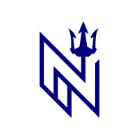 Nettuno Consulting - #professionisti logo - Similar company to Diritto Più Edizioni - Editoria E Formazione