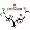 Vini Introvigne logo - Similar company to Wineverse