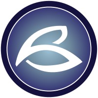 Belleview Consulting